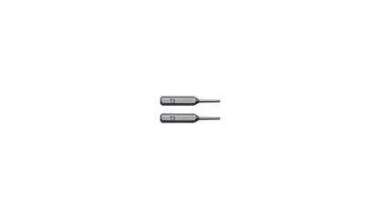 Torx Tip for SES T3 x 28mm (2)