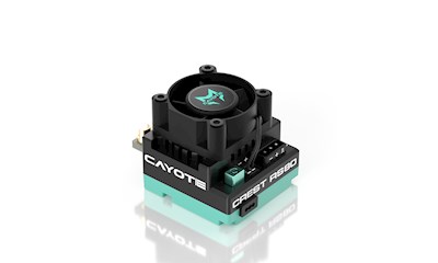 CAYOTE CREST RS80 1/10 Stock Competition ESC