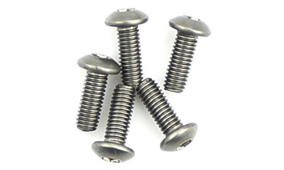 Titanium Caphead Hex Screws M3 x 8 (10 Stück)