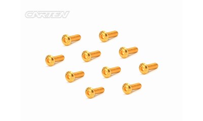 Linsenkopfschrauben M3x10mm 12.9 Gold Coating (10)