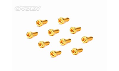 Zylinderkopfschrauben M3x10mm 12.9 Gold Coating (10)