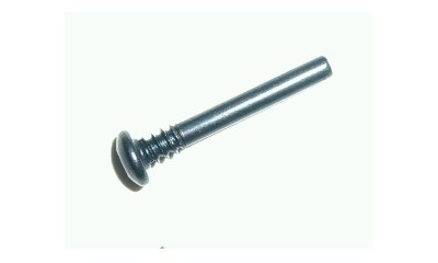 Spezialschaube Torx 2 x 17