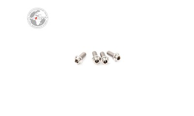 M2x5mm TITANIUM HEX SOCKET HEAD SCREW (4pcs)