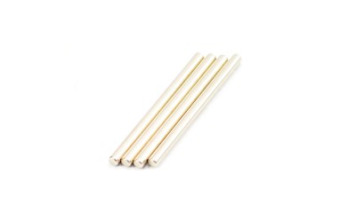 Rear Lower Suspension Hinge Pins 2.5*37.6mm, 4 pcs