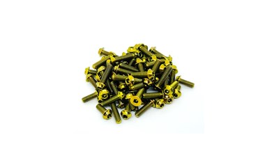 Sch Cat L1 EVO Ti Top Scw Set Gold (82)