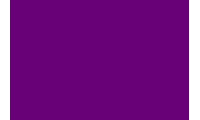 Fluorescent Violet ( Length : Roll 10m, Width : 60cm )