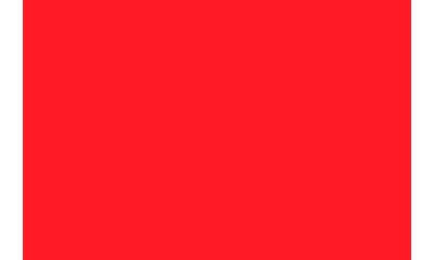 Fluorescent Red ( Length : Roll 2m, Width : 60cm )