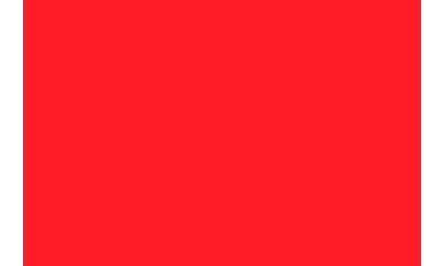 Fluorescent Red ( Length : Roll 10m, Width : 60cm )