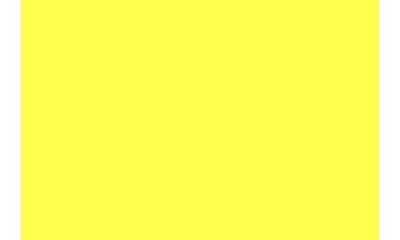 Transparent Fluorescent Yellow ( Length : Roll 2m, Width : 60cm )
