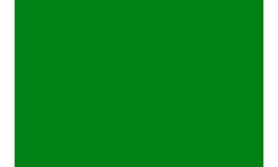Light Green ( Length : Roll 10m, Width : 60cm )