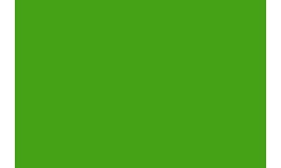 May Green ( Length : Roll 10m, Width : 60cm )