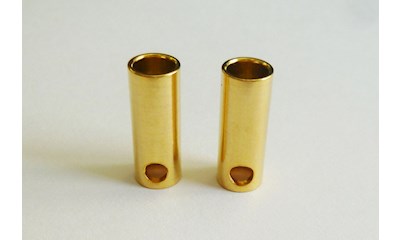 Goldkontakt 5.5 mm Buchse 80A (2 Stück)