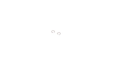Circlips; Wrist Pin - Sch R18