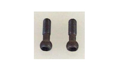 Hi-Tensile Pivot Ball Screw - SST(2 Stück)