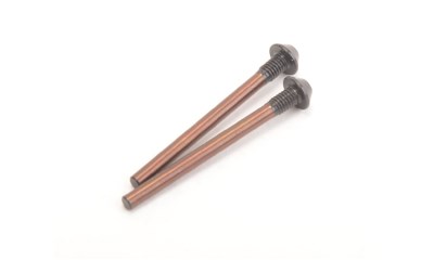 Rear Outboard Pin - CAT K2 - (2 Stück)
