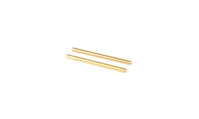 Titanium Rear Inboard Pivot Pin - CAT L1 (pr)