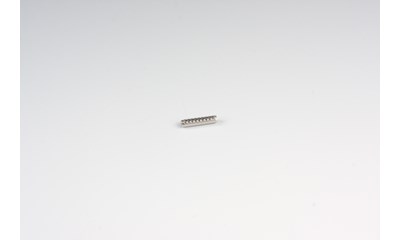 Federstift 2x10mm (1) RM-01