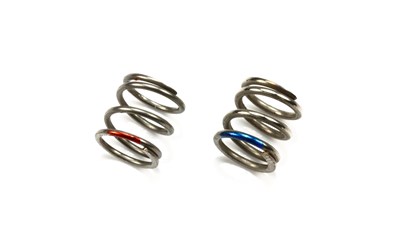 T3-01 Rear Spring Set (Soft/ Hard)