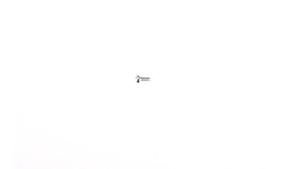 2x4mm Screw ((10 Stück).)