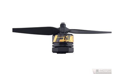 F60 T-Motor FPV Race Serie KV 2200 (2 Stück)