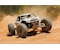 Yeti 1/10 4WD RTR