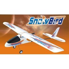 Segelflugzeug mit Motor Snow Bird 4CH