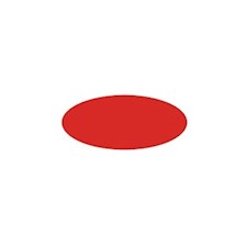 Red, Matt 20 ml