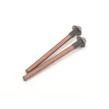Rear Outboard Pin - CAT K2 - (2 Stück)