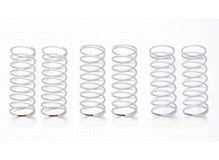 Big Bore Aer.Damper Rear Feder Set